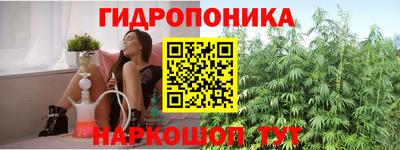 метадон Гусь-Хрустальный