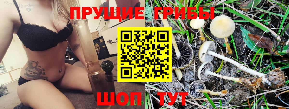 Псилоцибиновые грибы GOLDEN TEACHER Нижнеудинск