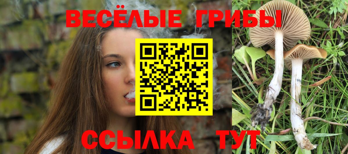 Галлюциногенные грибы прущие грибы  Вход с VPN  Нижнеудинск 
